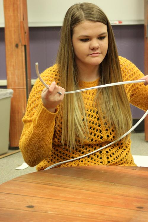 Decorative work--
SkillsUSA Cosmetology junior Emily Letkeman puts trim on the base of the chapter display for district competition. Letkeman, sophomore Judy Wiebe and junior Naomi Giesbrecht took first place with the display in San Angelo on Feb. 7.