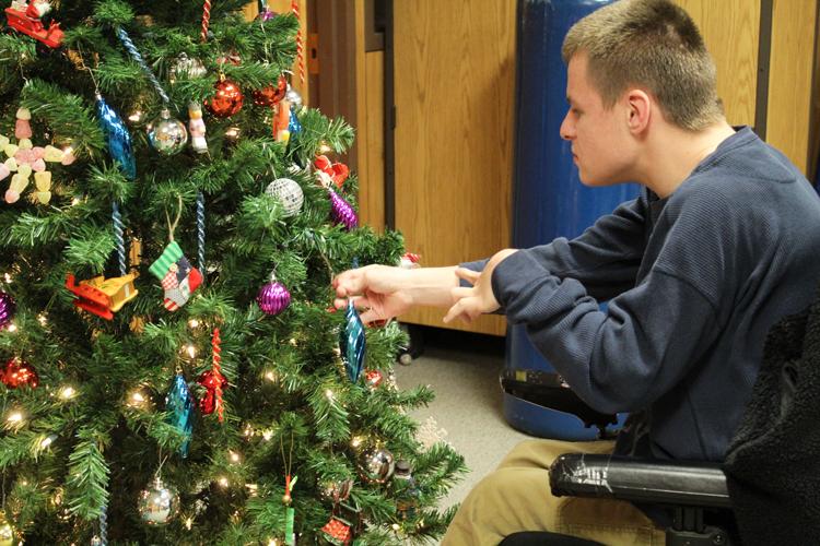 Perfect place--
Sophomore Franky Wall  hangs an ornament on the FACES Christmas tree. The class decorated for  the season right after the Thanksgiving break.