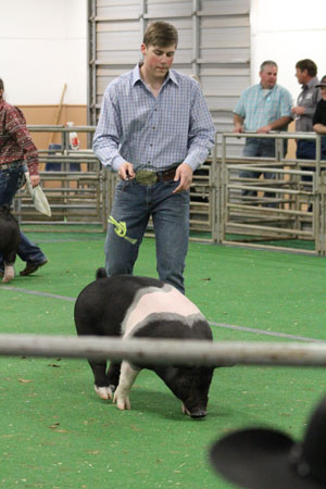 Just showing off--
FFA sophomore Kameron Brown takes his pig around the ring during the Gaines County Livestock Show on Jan. 19.