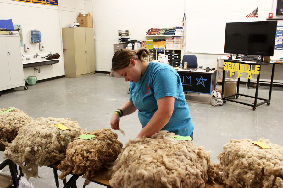 JUDGING+QUALITIY--%0AFFA+junior+Paige+Perryman+goes+through+wool+samples+during+practice+in+March.+The+team+of+Perryman%2C+sophomore+Carlye+Winfrey%2C+sophomore+Kameron+Brown+and+junior+Megan+Letkeman+took+second+at+state+in+April+with+Letkeman+in+first+place+overall.