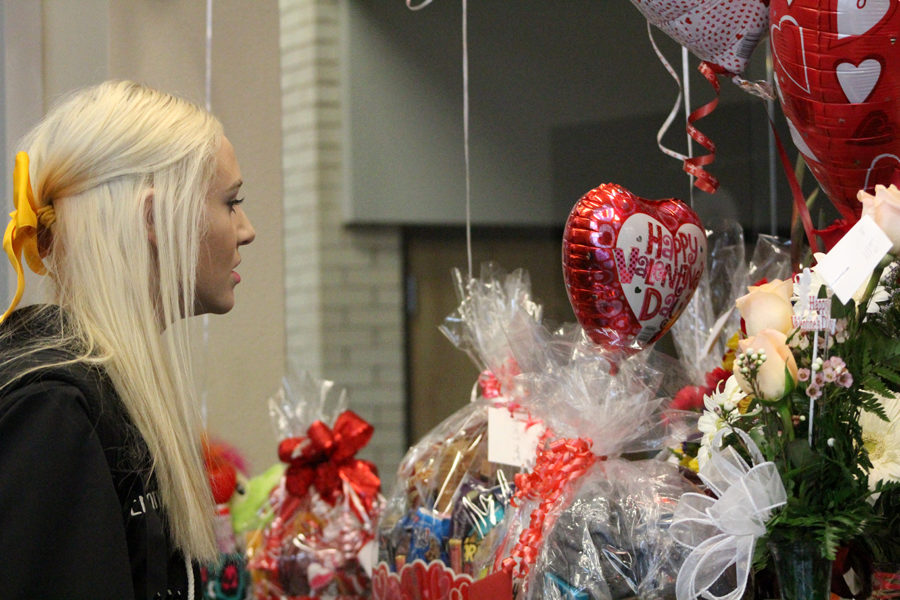 Looking for love--
Sophomore Emma Franklin searches the accumulation of Valentines gifts in the office after third period on Feb. 14. The day was filled with lists of names being called to the office because a delivery was made for them.