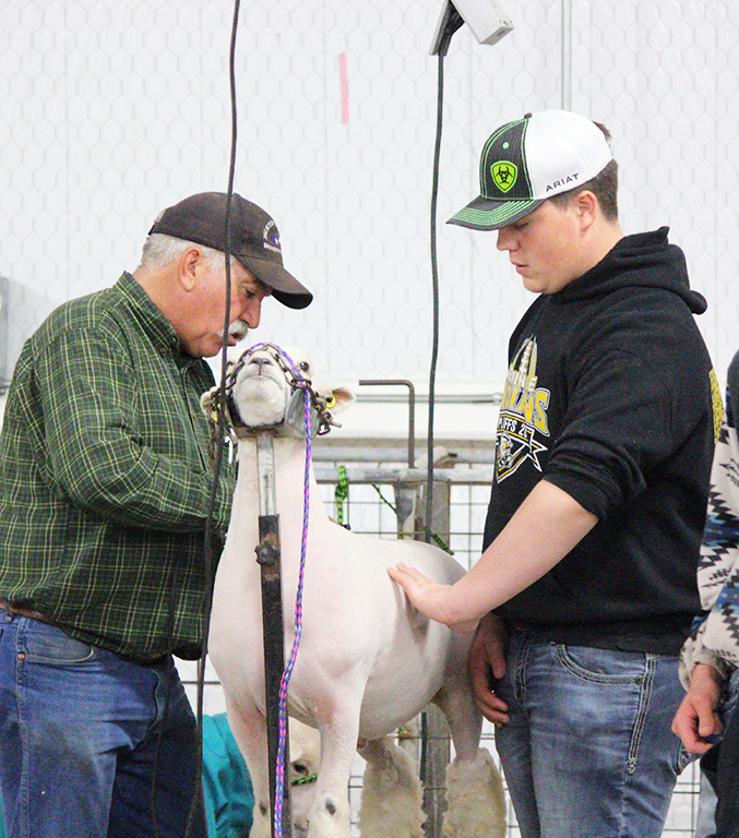 Weighing in--
Sophomore Austen Gray watches as his sheep is weighed in the show barn at Gaines County Livestock Show on Jan. 15. Gray’s lamb would take fourth in the middleweight Southdown division the next day.