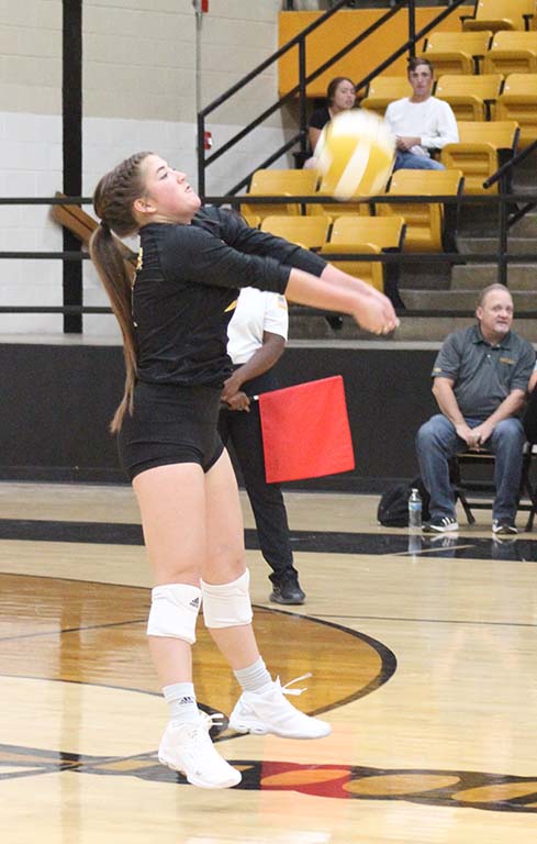 First team selection--Senior libero Emily Alvarez digs a back row ball during play on Sept. 21. Alvarez was the lone first team pick by the District 2-4A volleyball coaches.