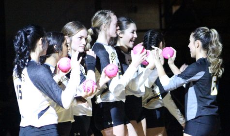 Meet the team--Maidens are introduced before the Greenwood home game as they throw pink volleyballs to the crowd for cancer awareness on Oct. 22. 