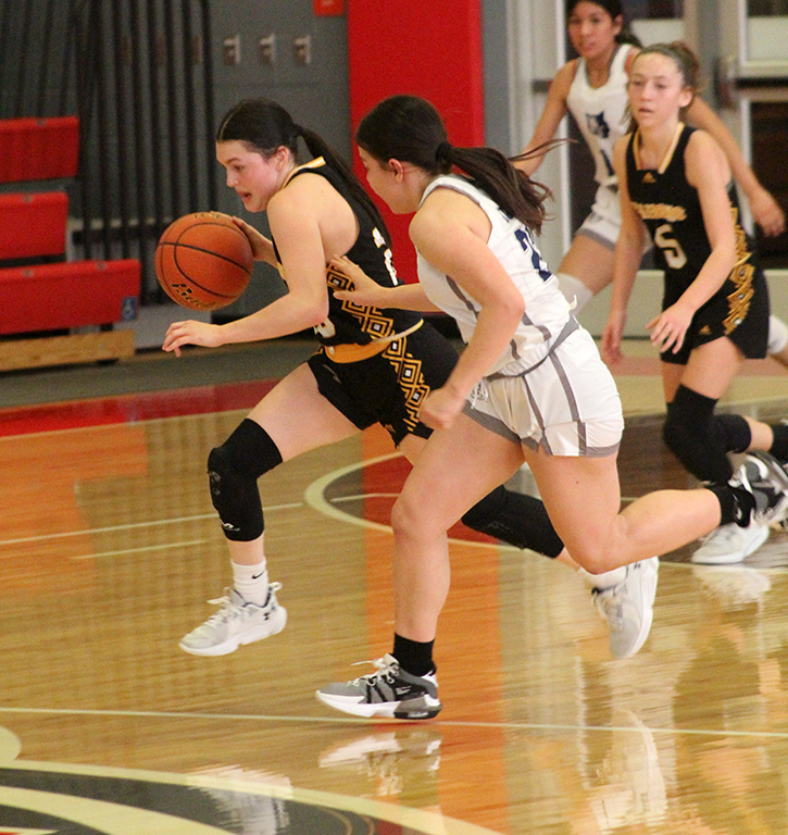 Off+to+races--Senior+guard+Londyn+Shain+gets+the+steal+from+Mountain+Views+Tiara+Trujillo+during+the+second+quarter+of+area+play+on+Feb.+16.+Shain+had+four+steals+during+the+Maiden+victory.