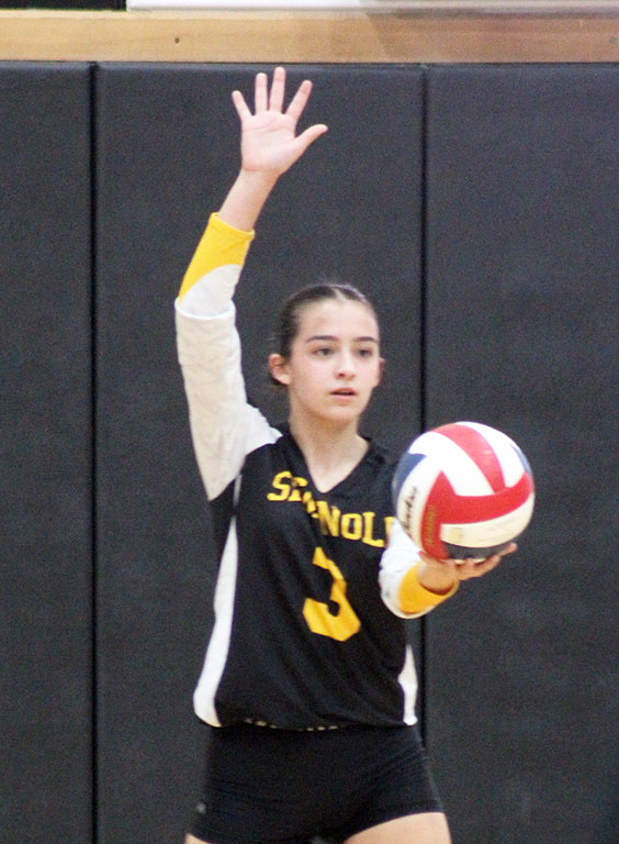 Taking aim--Sophomore libero Ashlyn Guynes serves during district play with Fort Stockton on Oct. 15. Guynes was selected for the all-district first team.