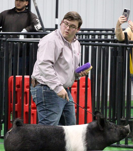 Some swine--
Senior Jase Warlick watches the judge as he walks his Hampshire hog around the show ring at the Gaines County Junior Livestock show on Jan. 16. Warlick took first place in the light Hampshire category.