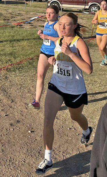 On the run--Junior Addison Armstrong runs in the region cross country meet in Lubbock on Oct. 21. Armstrong took 35th place in a time of 12:49.60.