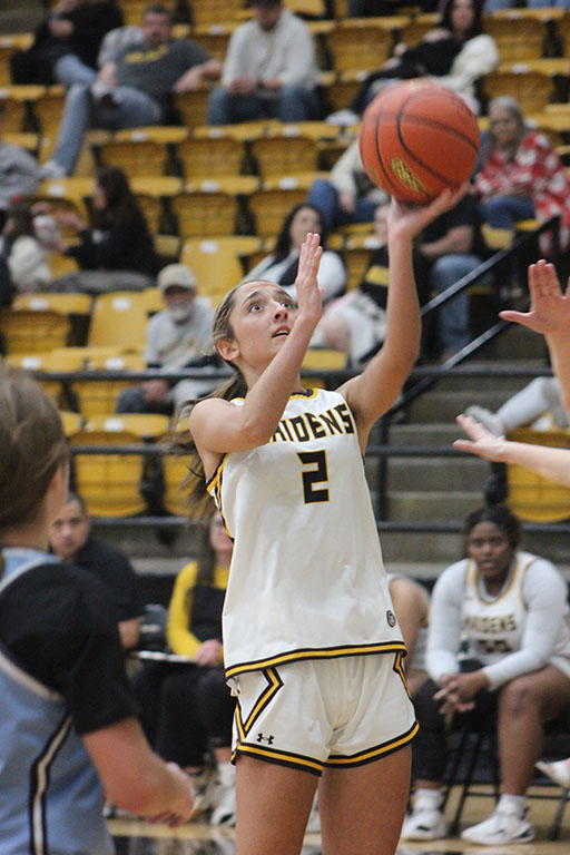 Offensive force--Junior guard Rylee Danley took District 3-4A honors for most valuable offensive player.
